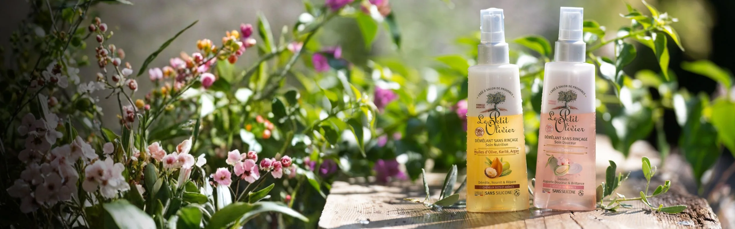 L'éclat naturel de la Provence
